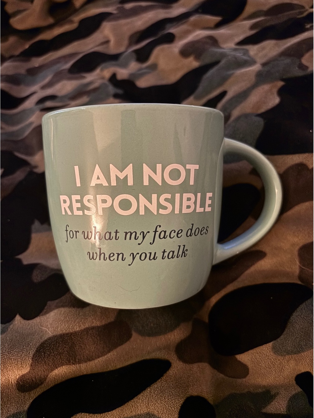 I Am Not Responsible for What my Face Does When You Talk Mug Cup Aqua Oversized